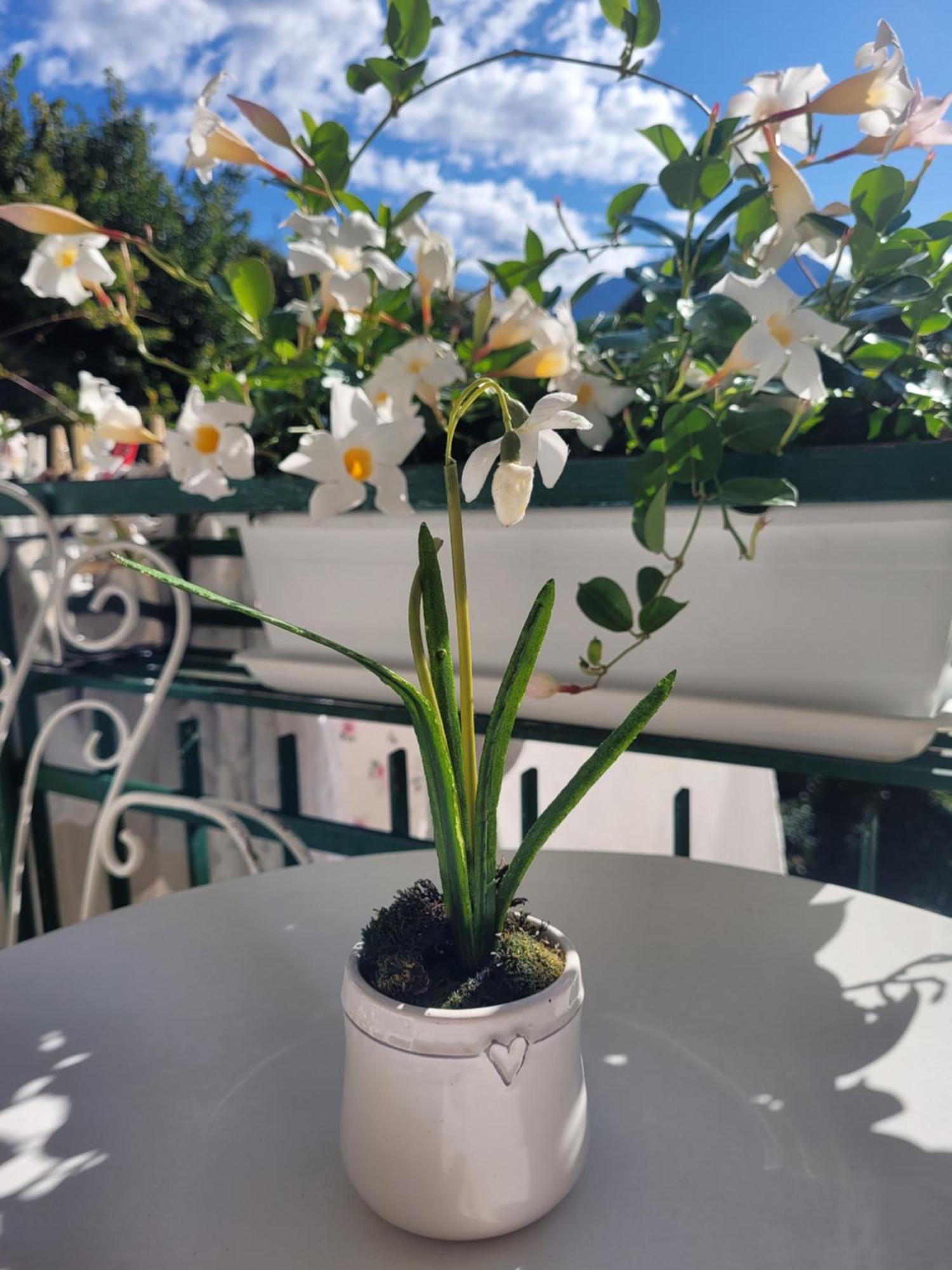 B&B Dal Nonno Riva del Garda Eksteriør bilde