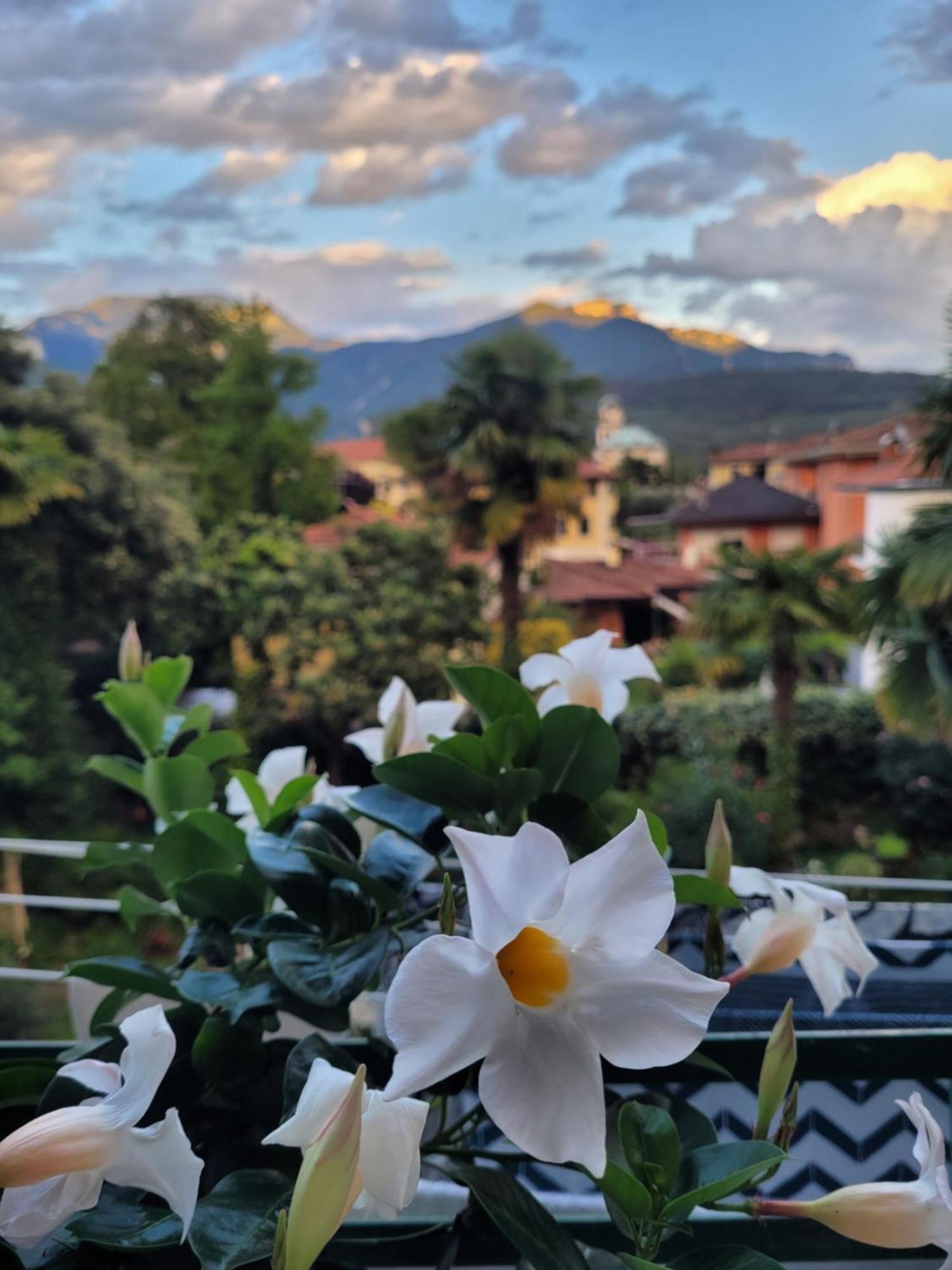 B&B Dal Nonno Riva del Garda Eksteriør bilde